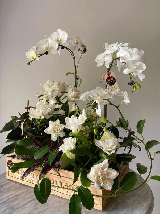 Big Botanical Box - white